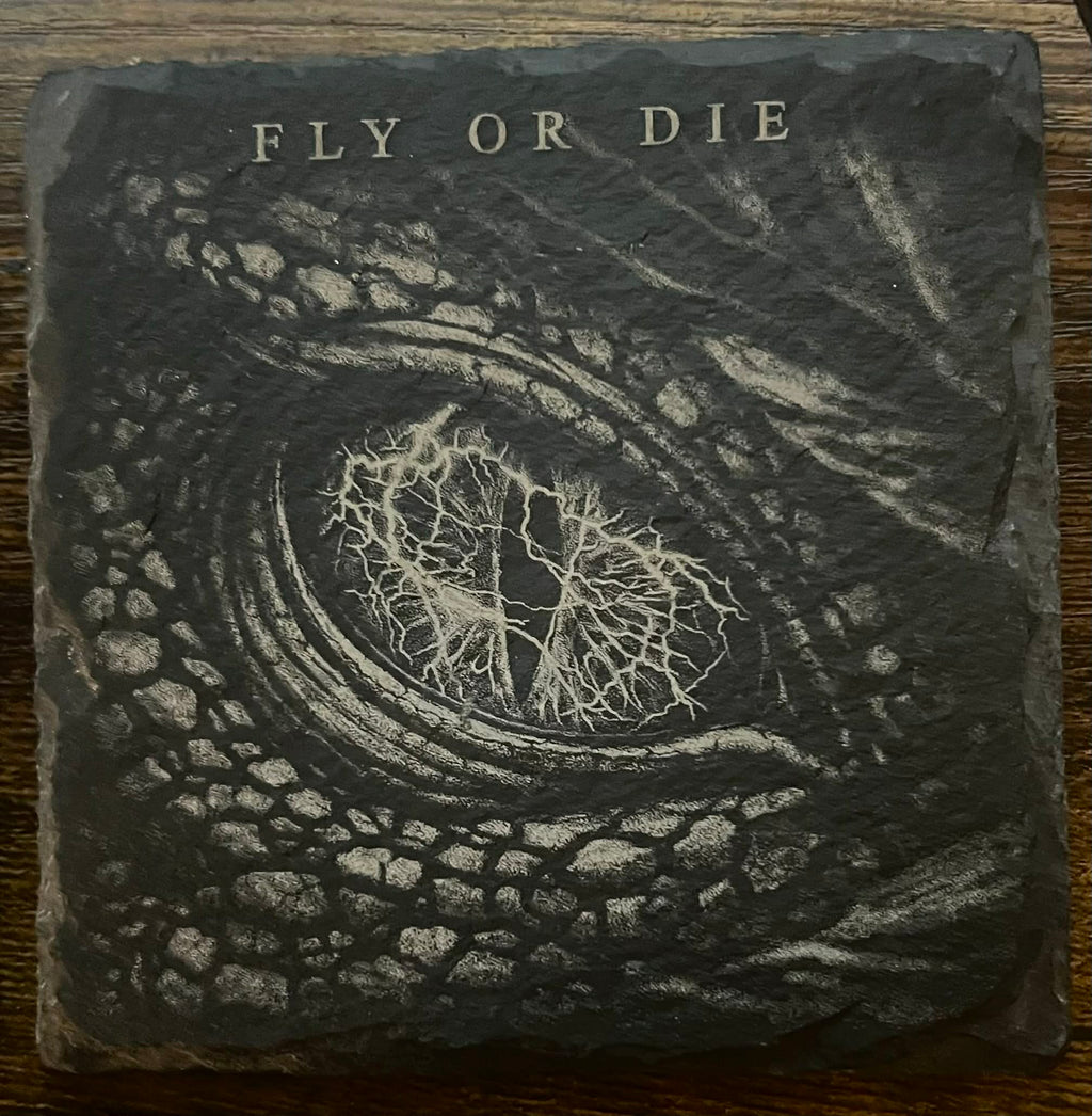 Fourth Wing Inspired Dragon & Lightning Slate Coaster Set, Bookish Fantasy Decor