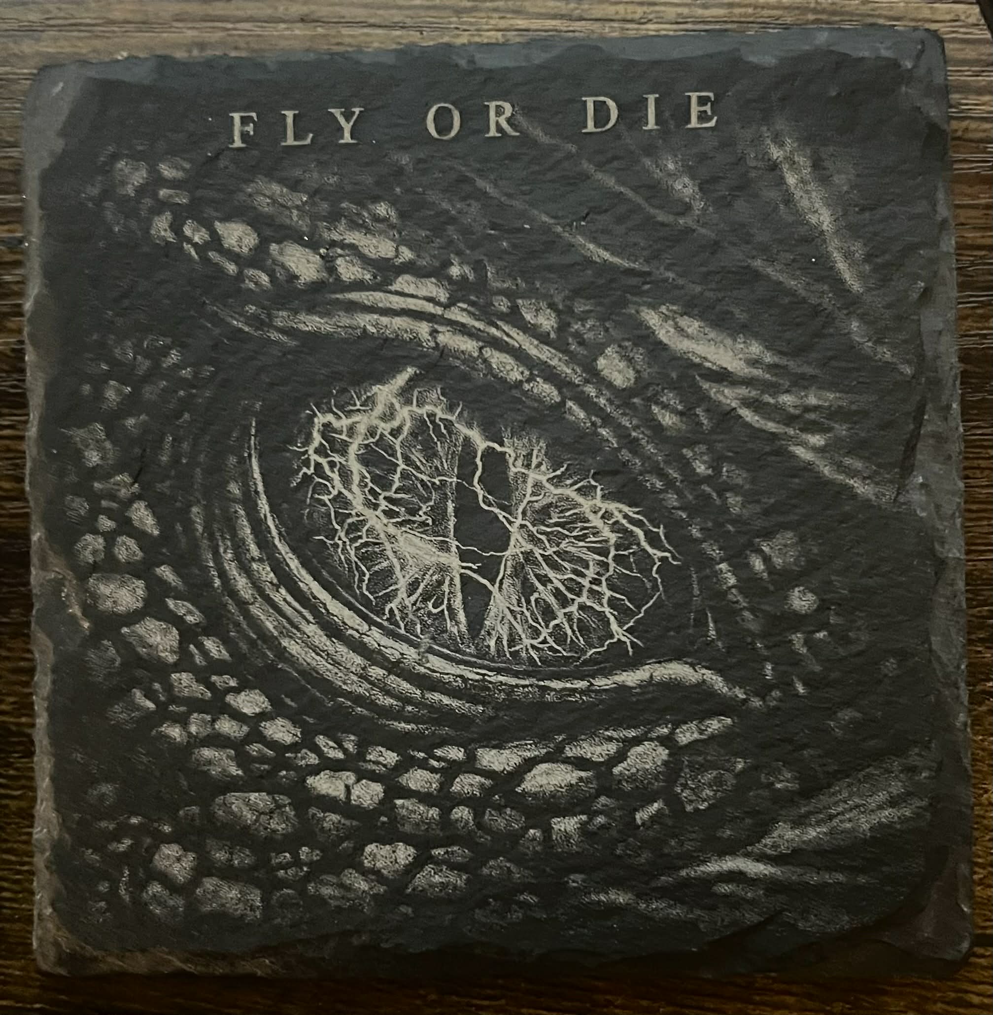 Fourth Wing Inspired Dragon & Lightning Slate Coaster Set, Bookish Fantasy Decor